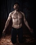 wolverine-81