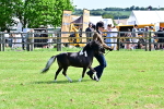 SBM_03382