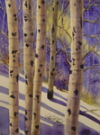 Winter Aspens III