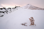 Winter Glow - Roseberry Topping