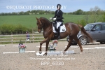 BPP_6330