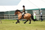 SBM_07074