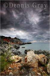 Gallery portfolio