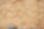 240317A-111722-05532