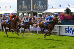 250823-Race 1-Marhaba The Champ-0136