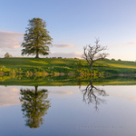 Reflections