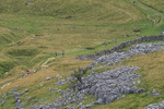Ingleborough-7