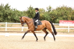 SBM_007213