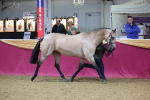 SBM_20796