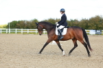 SBM_000363