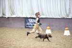 SBM_001276