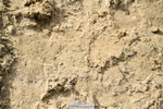 251004A-155749-02034