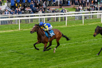 Race 6 4.40pm Conundrum HR Consulting Handicap portfolio