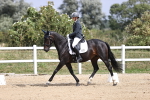 SBM_016897