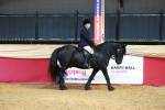 SBM_17647