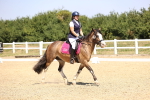 SBM_003957