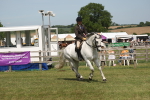 SBM_07596