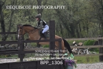 BPP_1306
