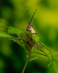 20140325-3K8A9451