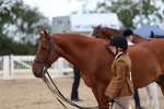 SBM_05099