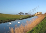 IMG_0244 - Version 2