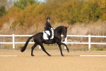 SBM_009377