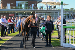 180524-Race 6-Diamondonthehill-Yorkshire-9877