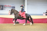 SBM_13618