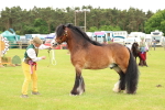 SBM_06316