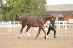 SBM_07721