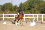 SBM_013736