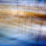 River and Reeds