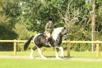 SBM_67442