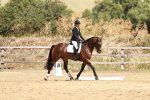 SBM_002564