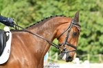 434-KILCANDRA_CAPITOL-Susie_Berry-DR portfolio