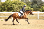 SBM_006487