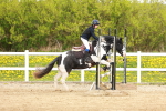 SBM_004262