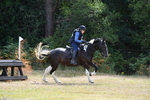 WJ5_1433