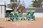 BPP_2733