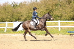 SBM_001955
