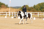 SBM_016738
