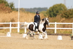 SBM_016747