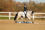 SBM_004730