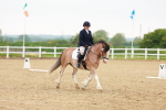 SBM_005992