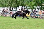SBM_07991