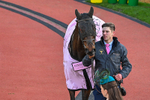 130326-Race 5-Gaelic Warrior-3063
