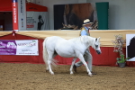 SBM_17313