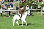 SBM_50388