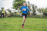 Hay-O-390