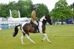 SBM_00899